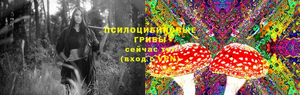 ECSTASY Лихославль