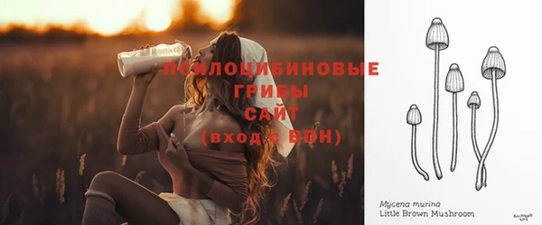 ECSTASY Лихославль