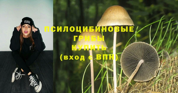 ECSTASY Лихославль
