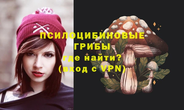 МДПВ Лиски