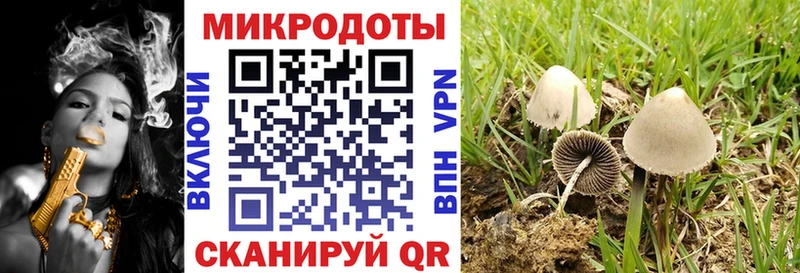 Галлюциногенные грибы GOLDEN TEACHER  где продают   Липецк 